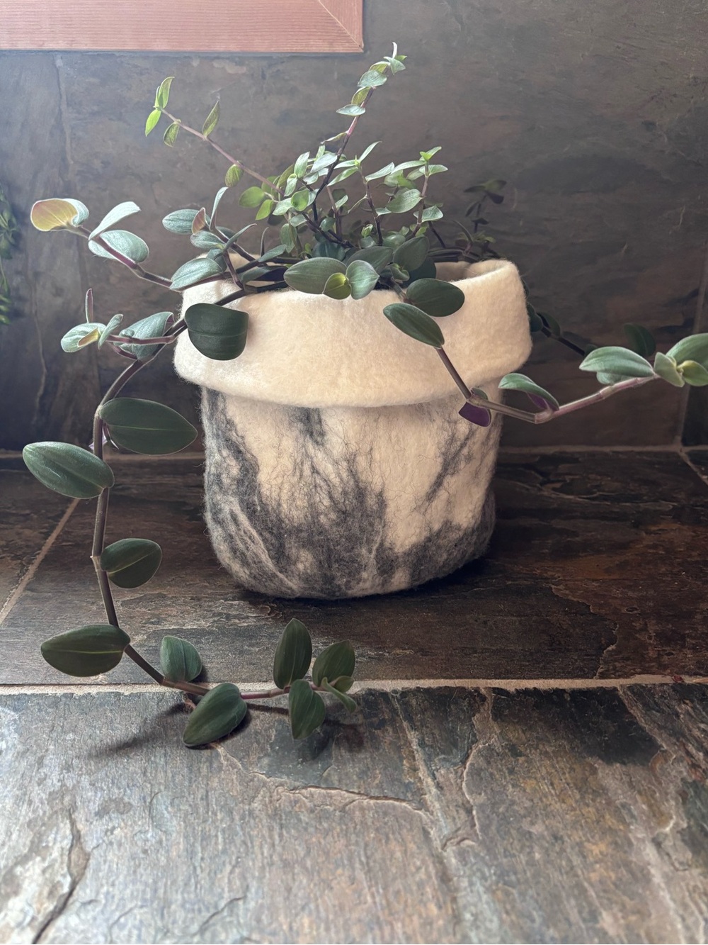 Hand Felted Merino Wool Plant Cozy | Soft Wool Basket | Handmade Home Decor